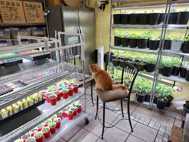 April 2025 Garden Report