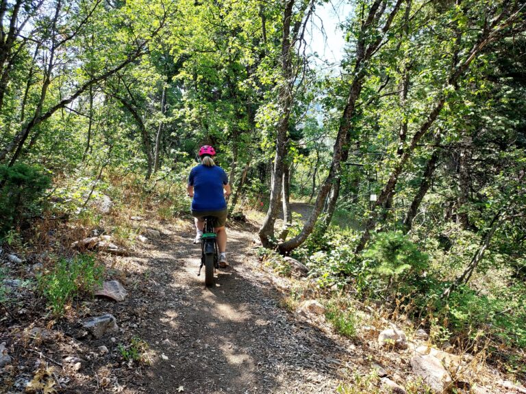 August’s Tabin Adventure: Huntsville
