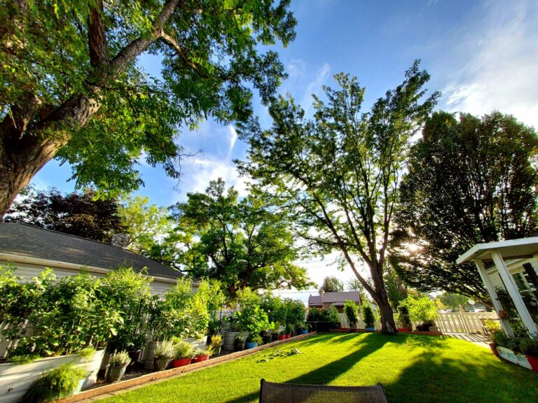 2026 Garden Notes (ongoing post)